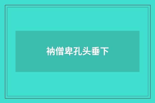 衲僧卑孔头垂下
