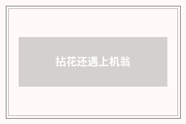 拈花还遇上机翁