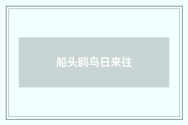 船头鸥鸟日来往