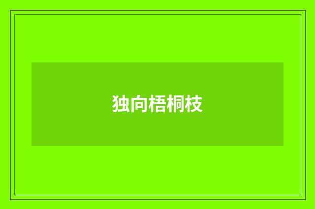 独向梧桐枝