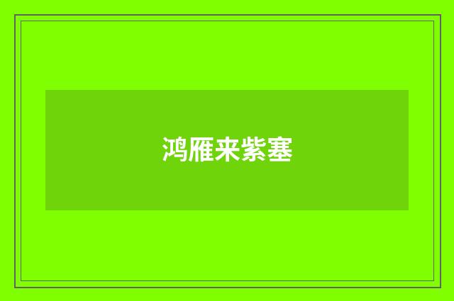 鸿雁来紫塞