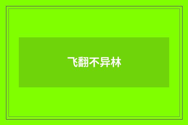 飞翻不异林