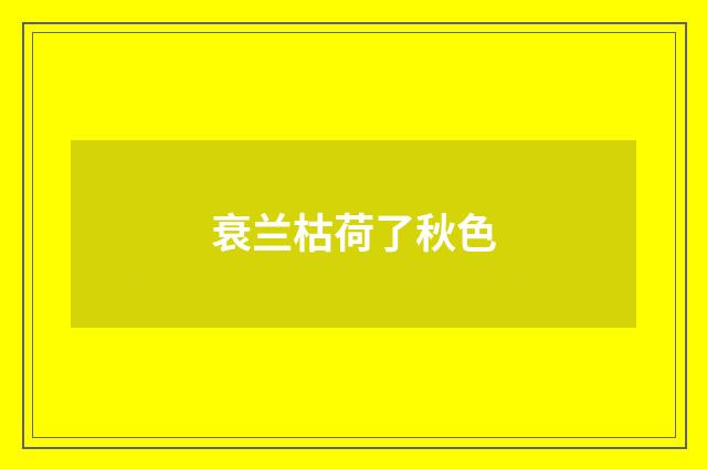 衰兰枯荷了秋色