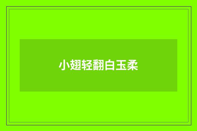 小翅轻翻白玉柔