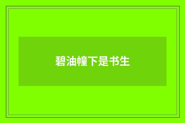 碧油幢下是书生