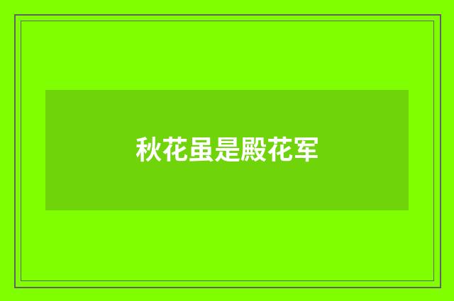 秋花虽是殿花军