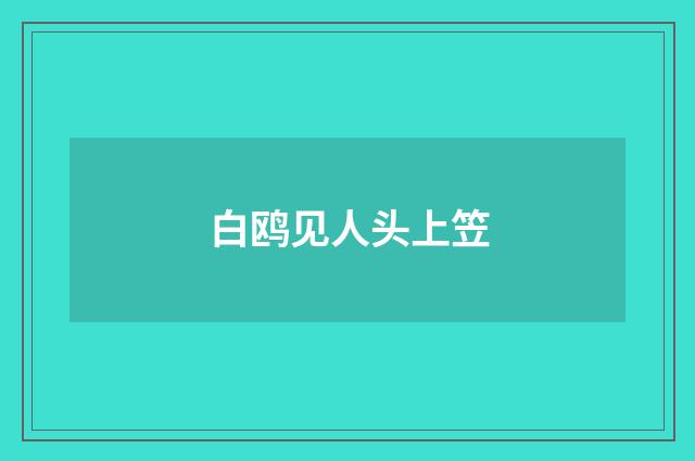 白鸥见人头上笠