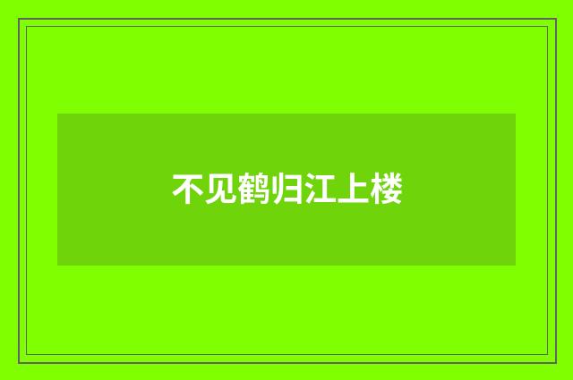 不见鹤归江上楼