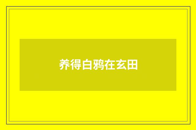 养得白鸦在玄田