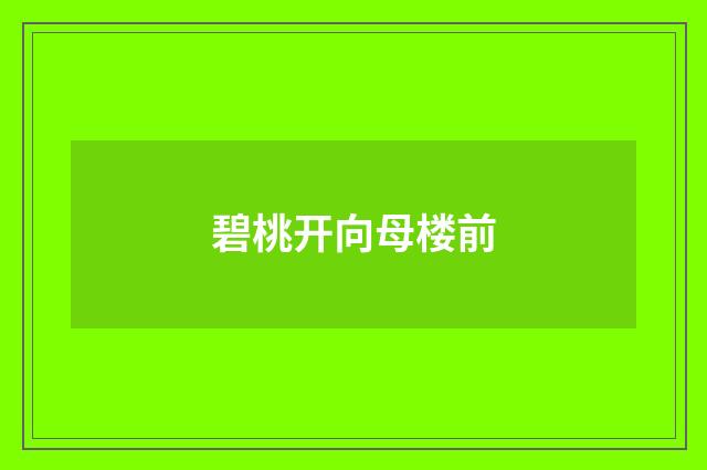碧桃开向母楼前