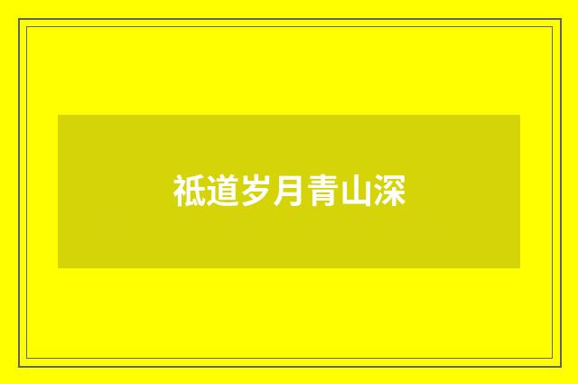 祗道岁月青山深