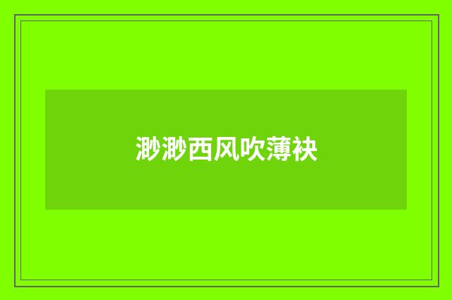 渺渺西风吹薄袂