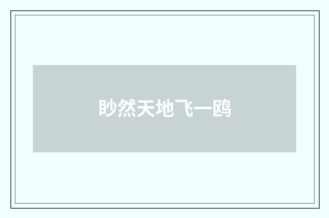 眇然天地飞一鸥