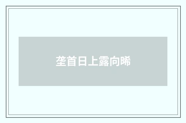 垄首日上露向晞