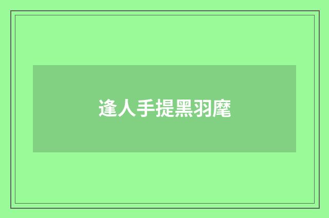 逢人手提黑羽麾