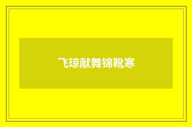 飞琼献舞锦靴寒