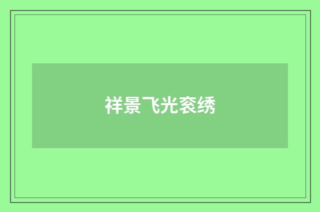 祥景飞光衮绣