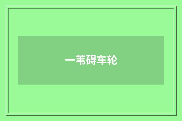 一苇碍车轮