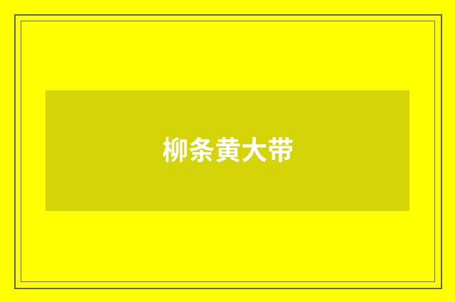 柳条黄大带