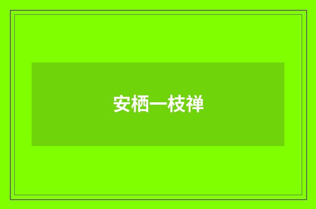 安栖一枝禅