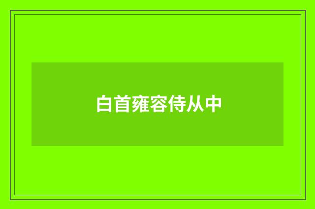 白首雍容侍从中