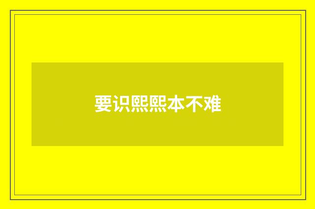 要识熙熙本不难