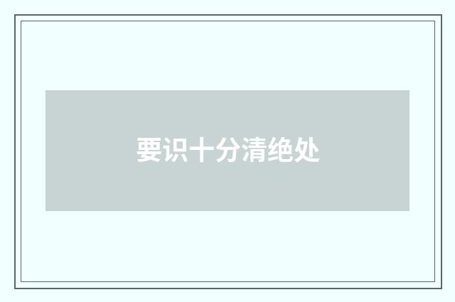 要识十分清绝处