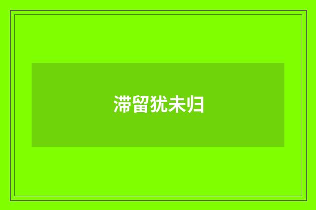 滞留犹未归