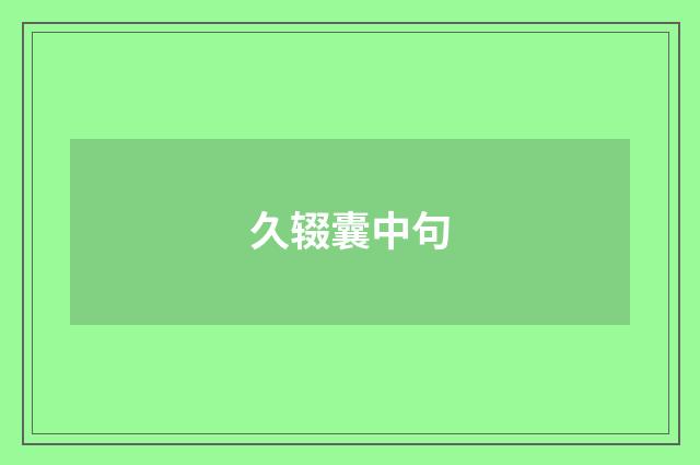 久辍囊中句