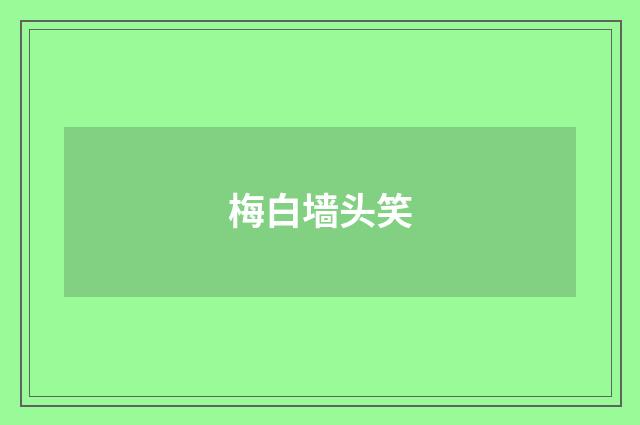 梅白墙头笑