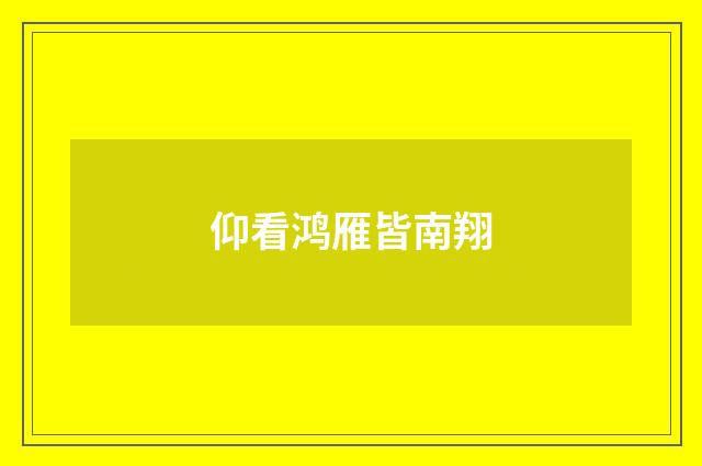 仰看鸿雁皆南翔