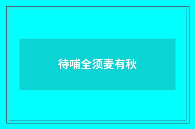 待哺全须麦有秋