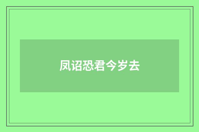 凤诏恐君今岁去