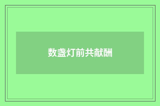 数盏灯前共献酬
