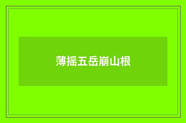 薄摇五岳崩山根