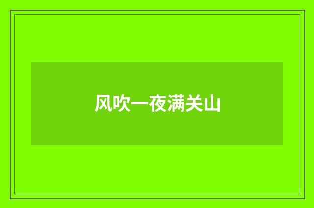 风吹一夜满关山