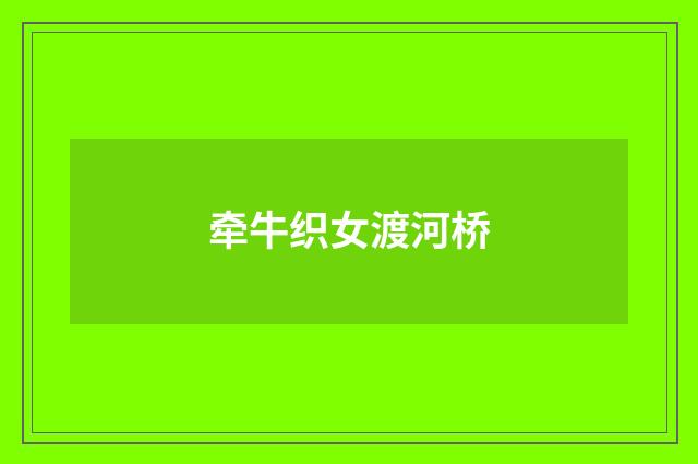 牵牛织女渡河桥