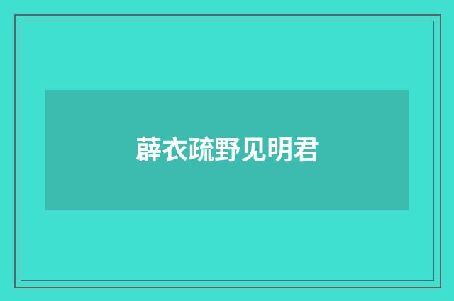 薜衣疏野见明君