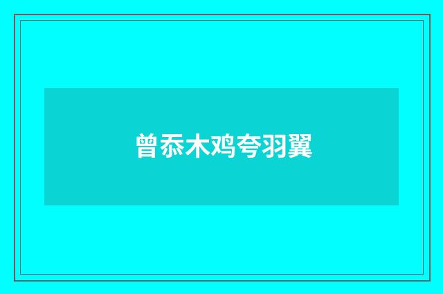曾忝木鸡夸羽翼