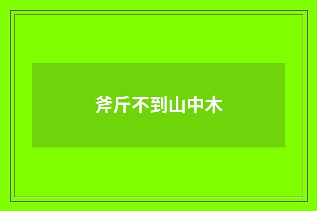 斧斤不到山中木