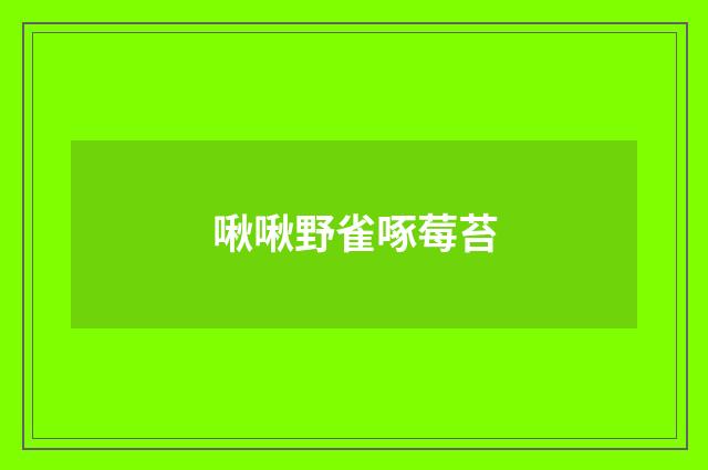 啾啾野雀啄莓苔