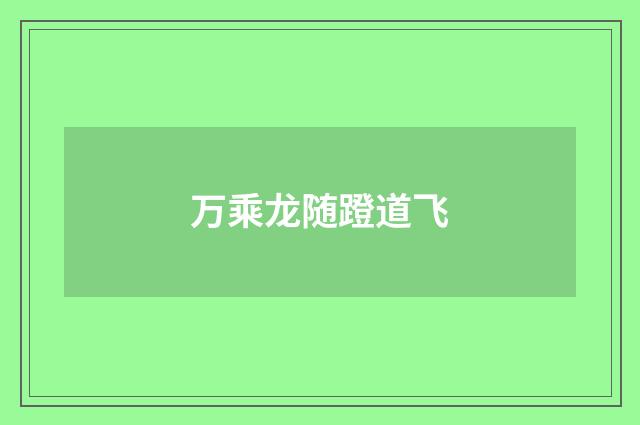 万乘龙随蹬道飞