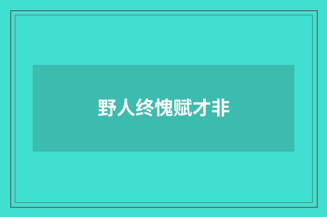 野人终愧赋才非