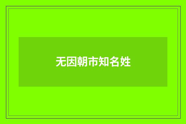 无因朝市知名姓