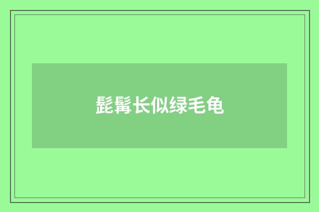髭髯长似绿毛龟
