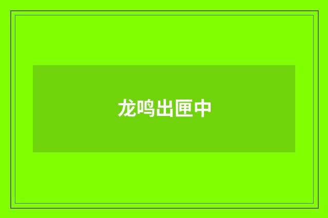 龙鸣出匣中