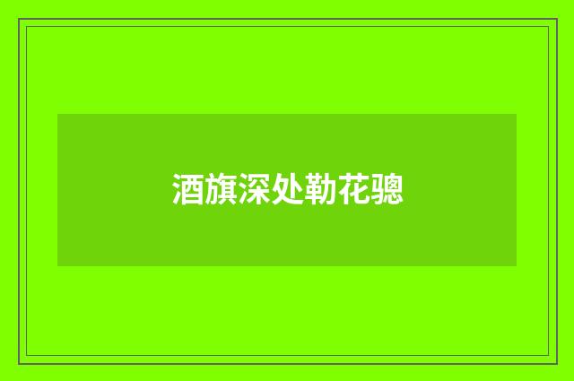 酒旗深处勒花骢