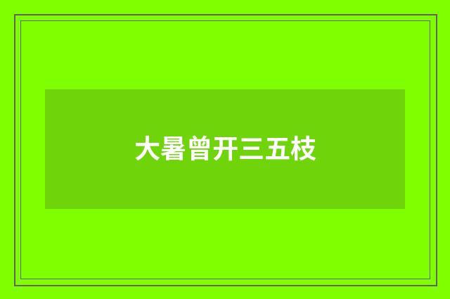 大暑曾开三五枝