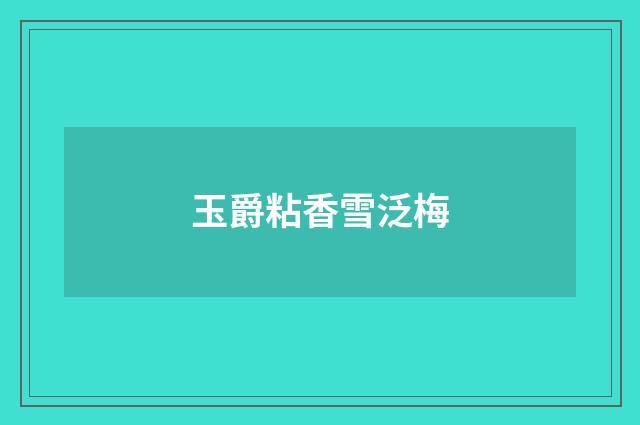 玉爵粘香雪泛梅