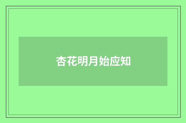 杏花明月始应知